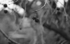 img043.jpg