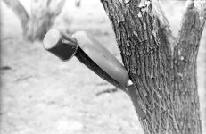 Zenit-E  Tri-x 20.jpg