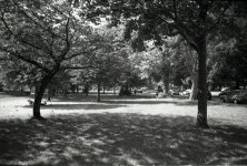 B127_024a.jpg