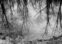 SUMMARON_RIVER2[1].jpg