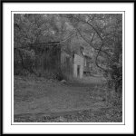 Phoenixville-Bird-Sanctuary.jpg