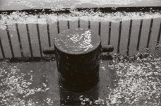 Waterfront Park in the Rain II s.jpg
