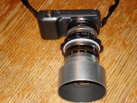 DSC03656.jpg