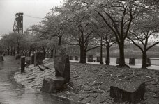 Waterfront Park in the Rain s.jpg
