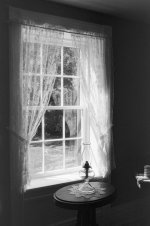 window.jpg