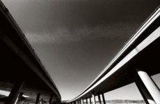 crop0061a small 2.jpg