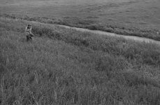 the polder 2.jpg