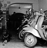 vespas.jpg
