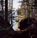 ice cave trail 10 40.jpg