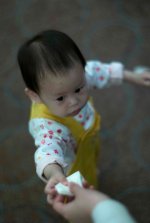 529458795_g2smV-M.jpg