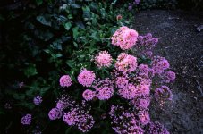 test-001.jpg