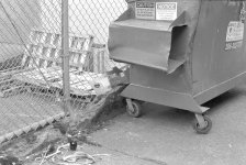 Scanner Test 4.jpg web.jpg