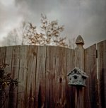 Blue Bird House in Storm March 2017 RFF.JPG