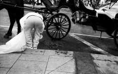 kid cleaning up horse shit off road.jpg