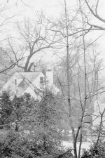 Foggy view 2 off back deck.jpg