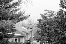 Foggy view off back deck.jpg
