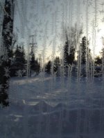 Frost.jpg