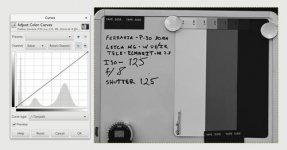 Ferrania_P30_ISO_125.jpg