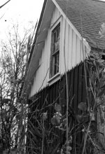 FT_TX_4386_003a_small.jpg
