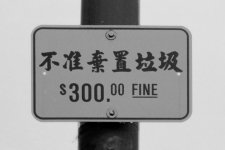 040924_22x.jpg