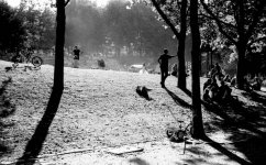 Light Powder Summitar.jpg