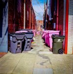 Pink Garbage Cans Newnan March 2017 RFF.JPG