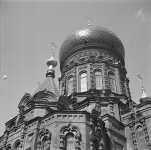 aiskra 007a 1200.jpg