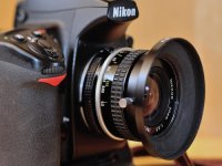 articles-rev-20-01.jpg