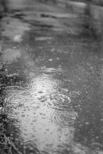 APX 400 Jupiter8 Regentropfen.jpg