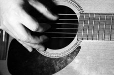 135 guitar.jpg