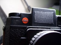 holga-leica.jpg