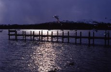 246_014.jpg