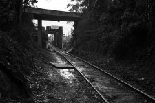 Img139.jpg