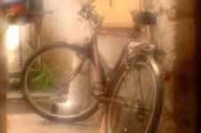 FR C Bicycle back yard SF.jpg
