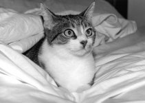 img045.jpg