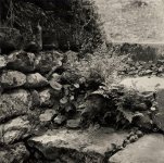 Fr M House steps 1a.jpg