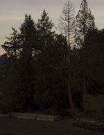Ssum35-iso200-1-800s.jpg