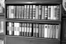 QL17 Tri-X 400 Micro 78 6min 17 copy.jpg