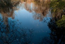 Pondscape3.jpg