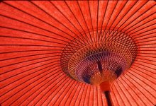 parasol (Medium).jpg