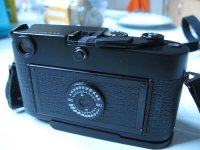 IMG_8654.JPG