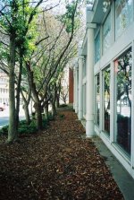 Konica-C35-3.jpg
