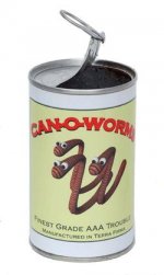CanoWorms.JPG