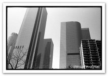 downtown bw.jpg