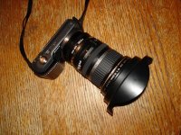 DSC03662.jpg