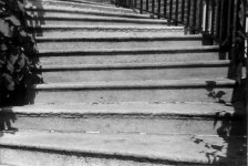 Steps.jpg