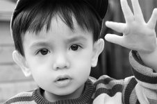DSC_0053 bw.jpg