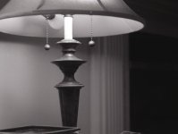 img022_lamp (600 x 454).jpg