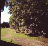 BackyardSept16 copy.jpg