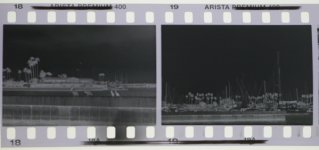 L1390496.jpg